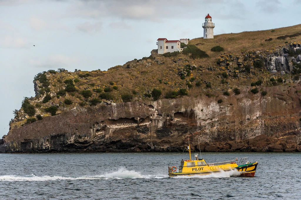 Aramoana Mole