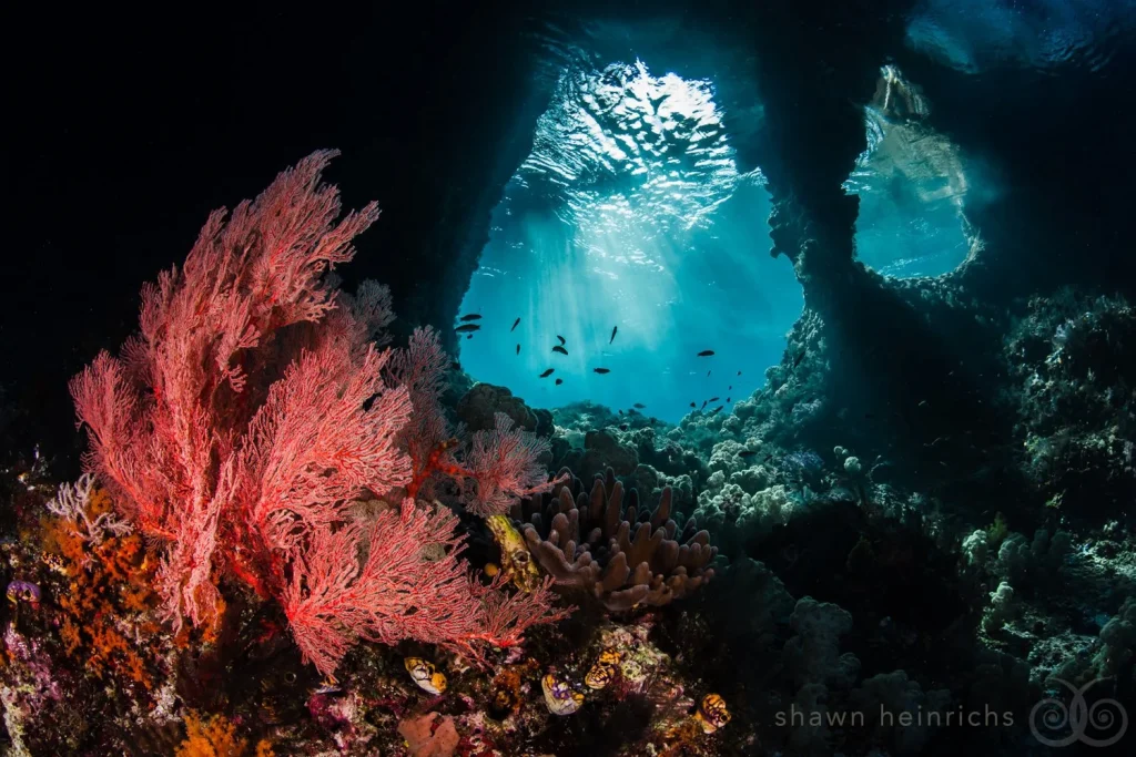 Dive Sites in Indonesia