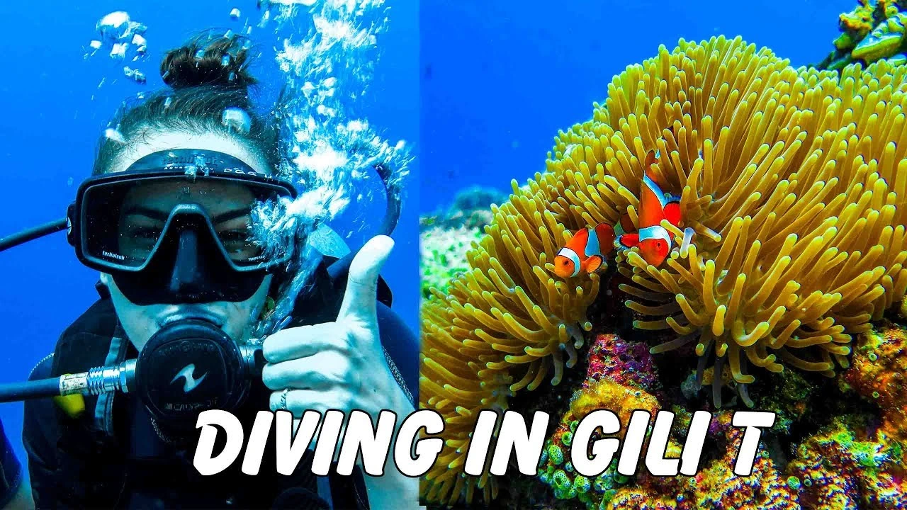 Dive in Gili Island