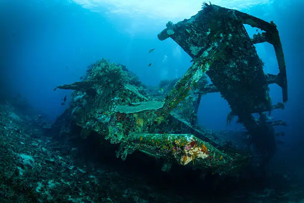 meno bounty wreck