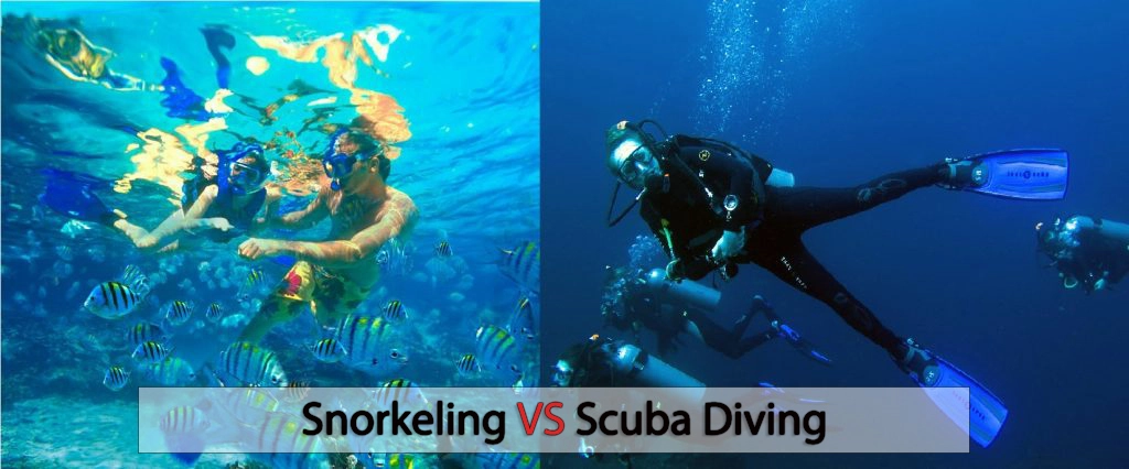 Snorkeling vs Scuba diving