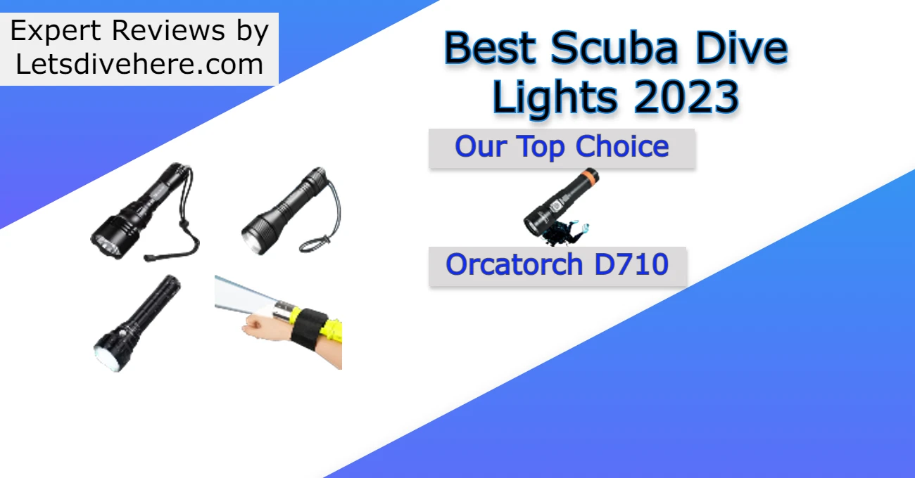 Top 10 Best Dive Lights in the Market 2024 Lets Dive Here