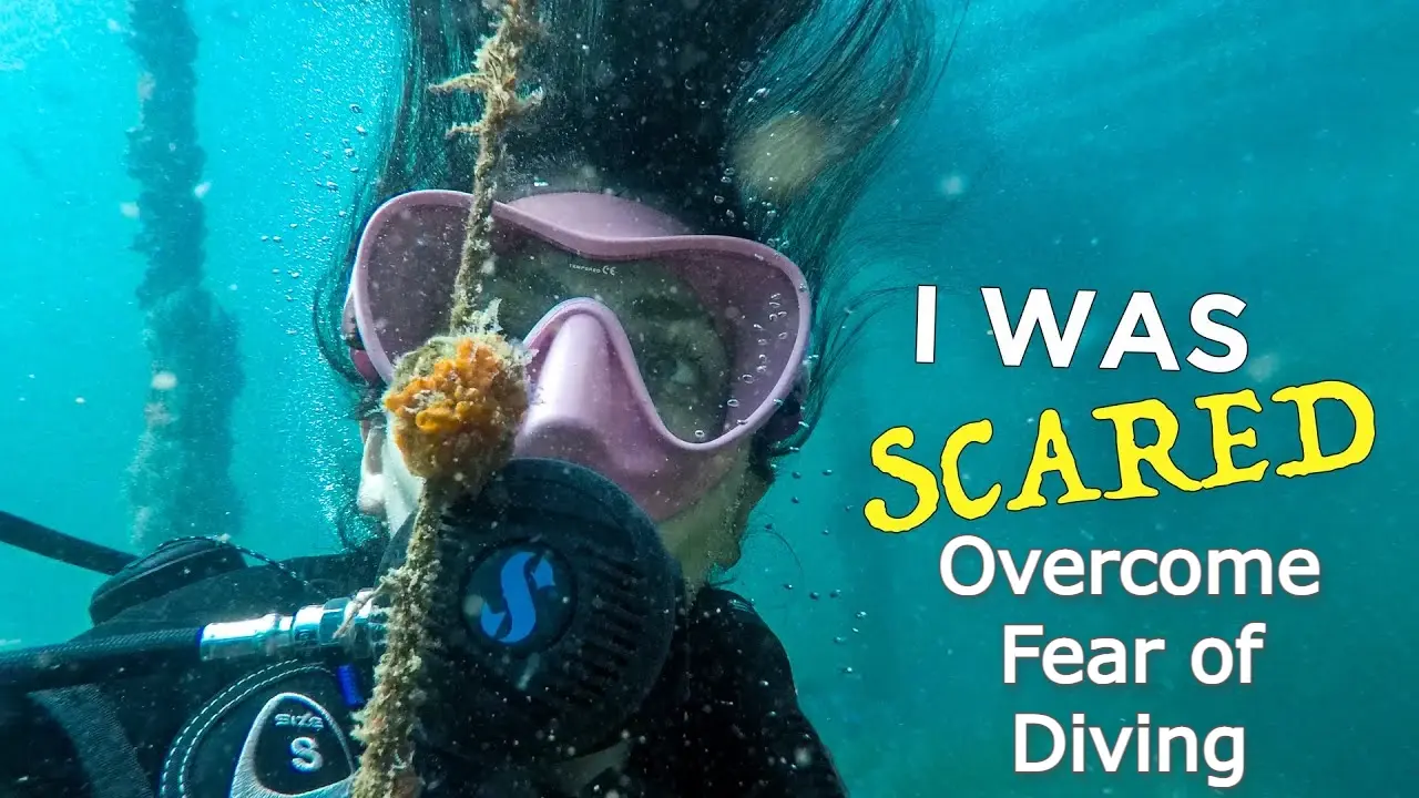 Scuba Divers Afraid of