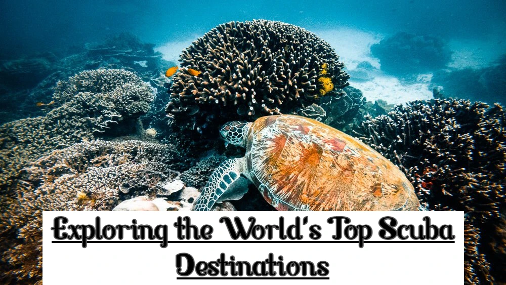 Top Scuba Destinations