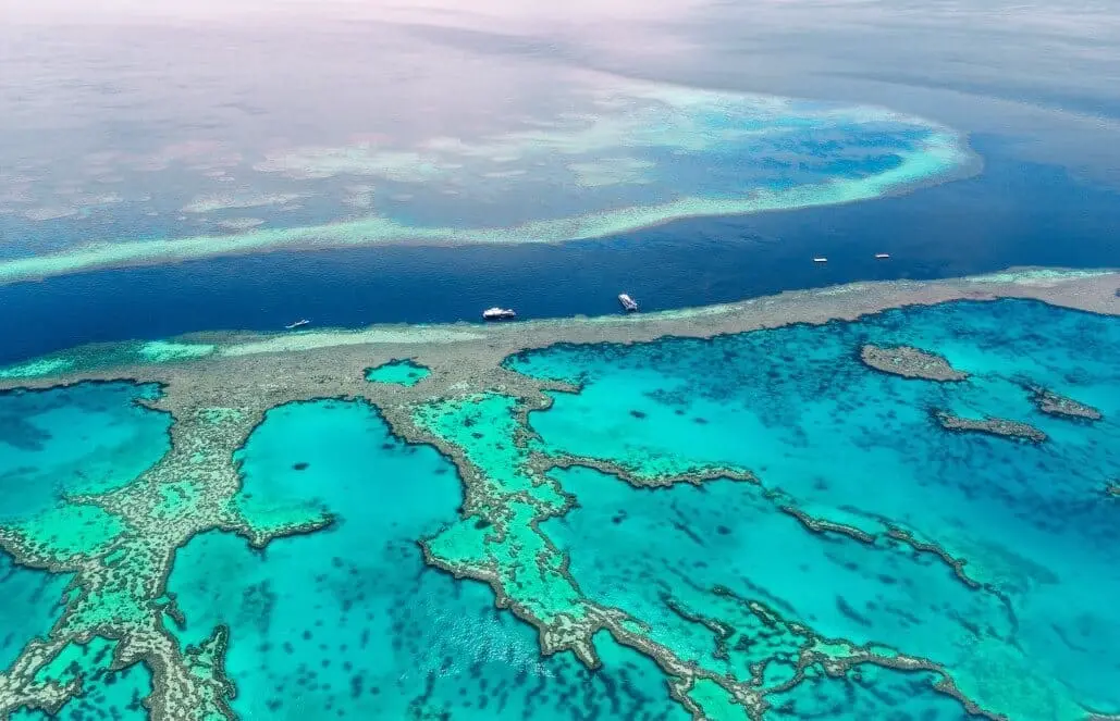 Barrier Reef Austrailia